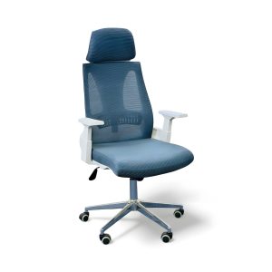 auras mesh master – premium ergonomic office chair