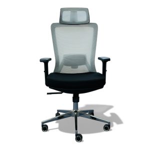 auras neomesh pro – premium ergonomic mesh office chair with adjustable comfort