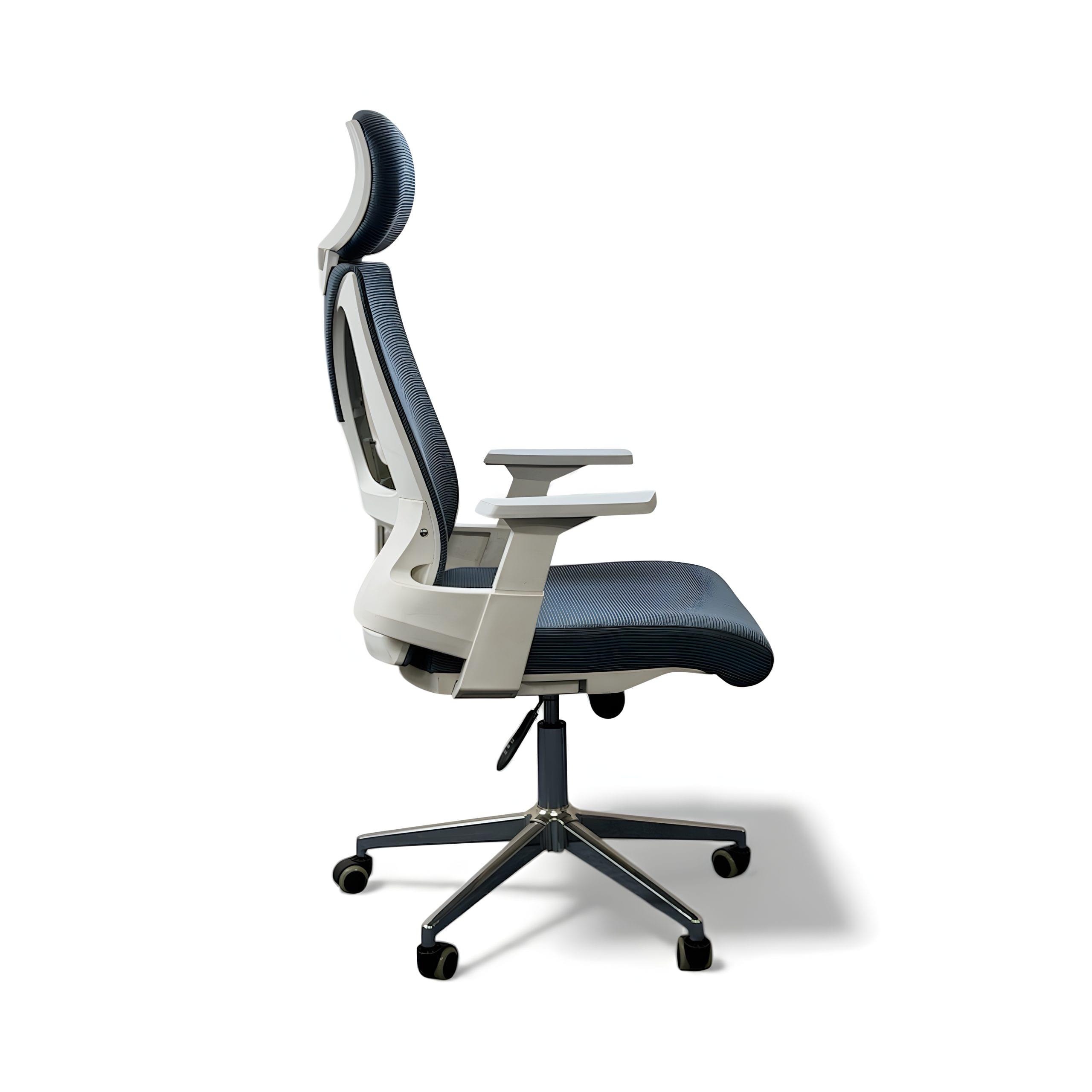 auras mesh master – premium ergonomic office chair